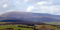 Cheviot